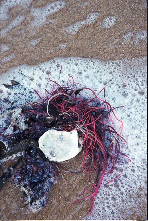 photographies_Juliette Morisse