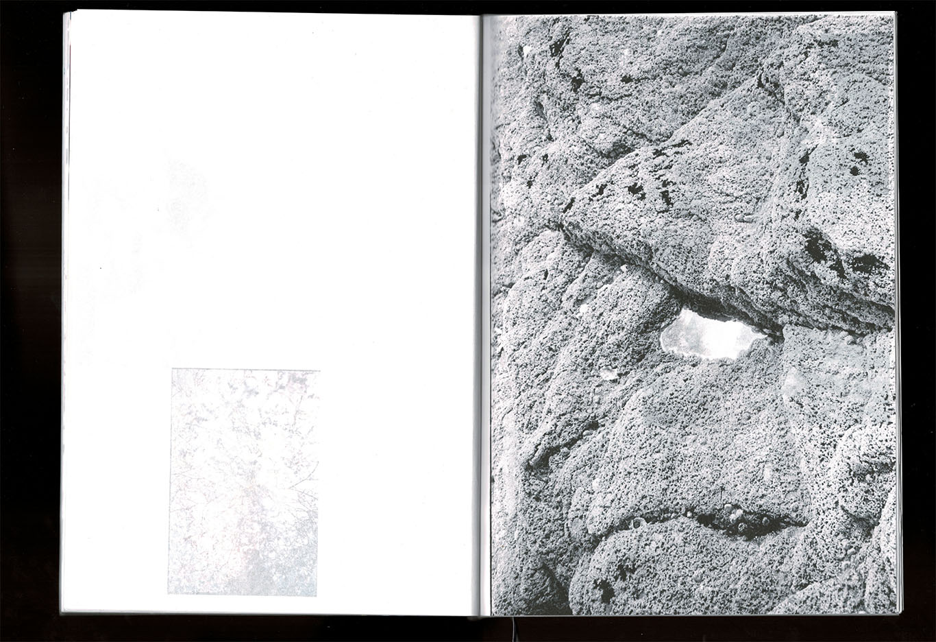 scan d'edition_ Bye Bye butterfly_ photographies et texte_ Juliette Morisse