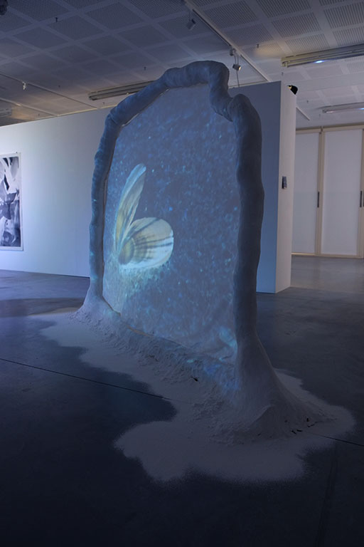 vue d'installation_les coquilles vides _ video et sculpture_ Juliette Morisse