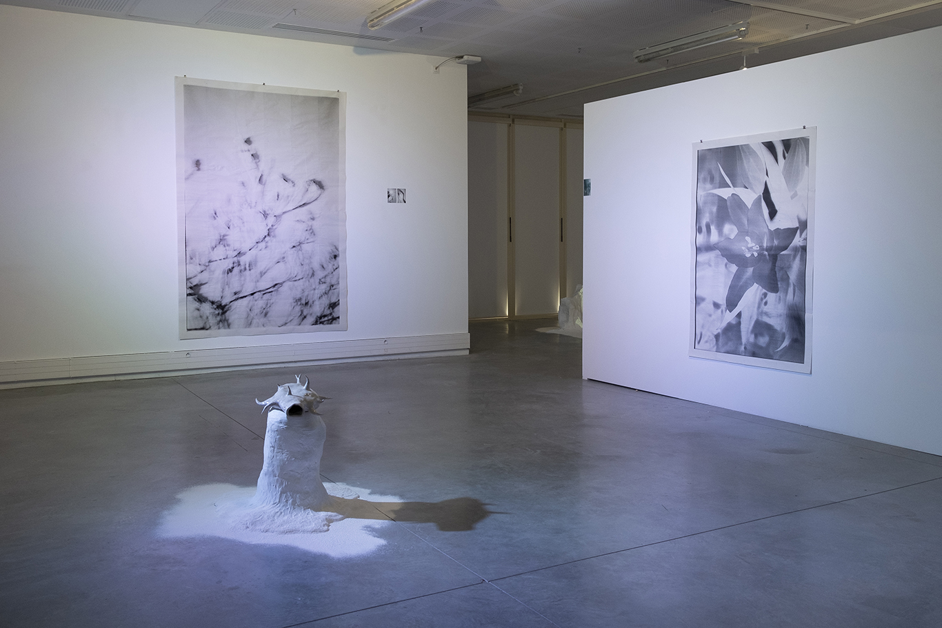 vue d'installation_le vent sur leur peau cristallise le sel_ photographie_ Juliette Morisse